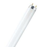 Люминесцентная лампа Osram NATURA T8, 58Вт, цоколь G13, цветность света 76, подсветка продуктов (4050300010533)