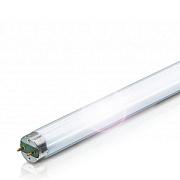 Люминесцентная лампа Osram T8, 36Вт, цоколь G13, цветность света 640, холодный свет, производство Россия (4052899352810)
