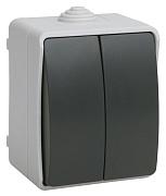 Выключатель двухклавишный IEK ФОРС, серый, наружный (EVS20-K03-10-54-DC)