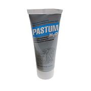 Паста Pastum H2O для уплотнения резьбовых соединений, 25гр.