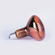 Лампа ИКЗК 220-250 R127 (инфракрасная зеркальная красная) Калашниково 250Вт (8105001)