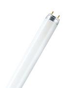 Люминесцентная лампа Osram LUMILUX T8, 36Вт, цоколь G13, цветность света 830 теплый свет, производство Россия (4008321581457)