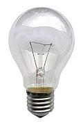 Лампа накаливания Калашниково 75Вт, E27, биспиральная, прозрачная (8101410)